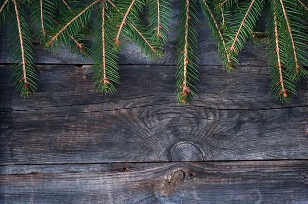 Ramas de abeto sobre un fondo de madera gris — Foto de Stock