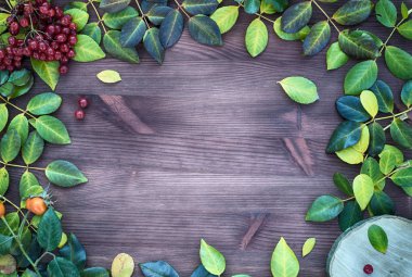 Düşen yapraklar ile kahverengi ahşap zemin