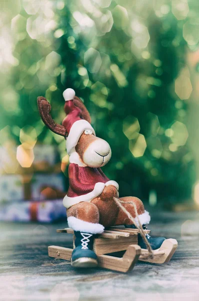 Alce de Navidad en ropa de vacaciones en trineo de madera — Foto de Stock