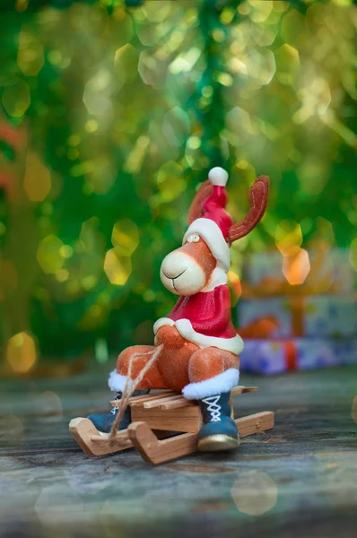 Alce de Navidad en ropa de vacaciones en trineo de madera — Foto de Stock