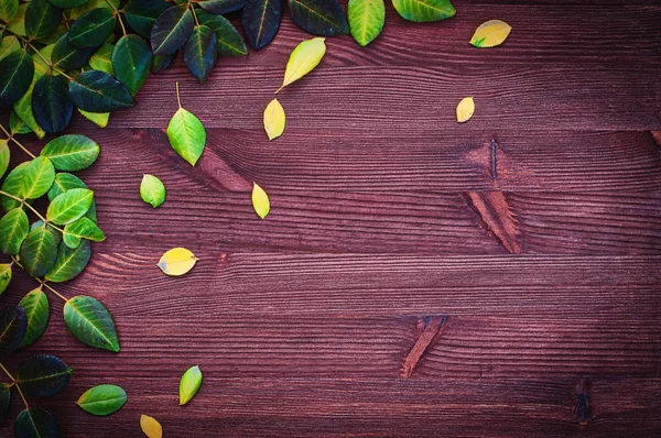 Ξύλινο φόντο με φθινοπωρινά φύλλα — Φωτογραφία Αρχείου