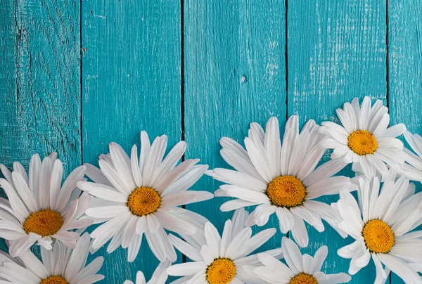 木製の背景にデイジー カモミールの花 — ストック写真