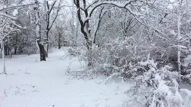 在城市公园的降雪 — 图库视频影像