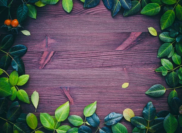 Ξύλινο υπόβαθρο με φθινοπωρινά φύλλα, που ορίζονται στην περίμετρο — Φωτογραφία Αρχείου