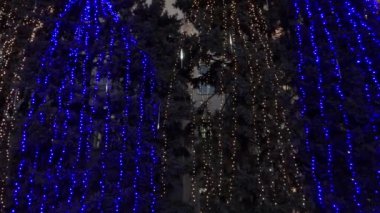 Elektrik çelenk, gece sahne Noel ağaçları
