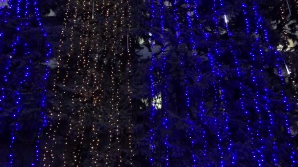 Árboles de Navidad en guirnaldas eléctricas, Escena nocturna — Vídeos de Stock