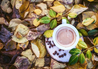 Sarı düşen yapraklar ortasında siyah kahve