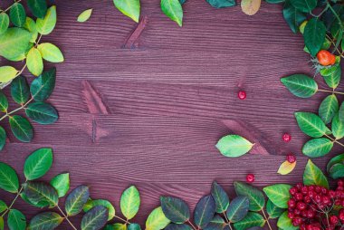 Sonbahar yapraklı ahşap arkaplan 