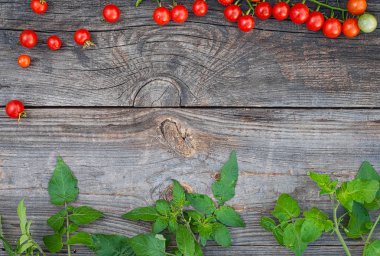 Olgun kırmızı kiraz domates ve yeşil b ahşap gri arka plan