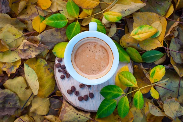 Tazza di caffè espresso nero tra le foglie gialle cadute — Foto Stock