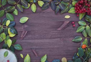 Düşen yapraklar ile kahverengi ahşap zemin