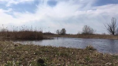 Kıyıdan nehir için bahar günü görüntüleyin.
