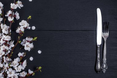 Vintage gümüş çatal ve bıçak