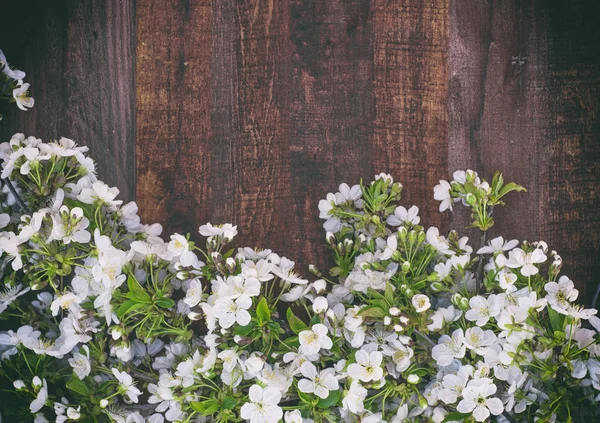 Zweige der Kirschblüten auf brauner Holzoberfläche — Stockfoto
