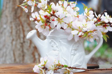 beyaz porselen vazo, çiçekli badem dallarında,