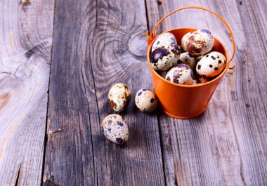 Gri bir ahşap yüzeyde bir demet taze bıldırcın yumurtası