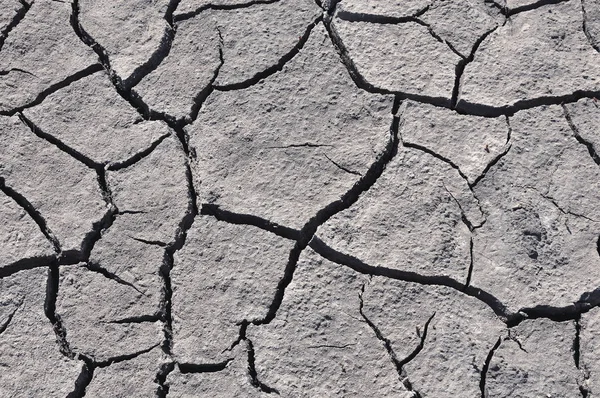 Gray cracked soil — Stock Photo, Image