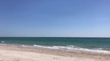 Kuşlar denizin üzerinde uçar