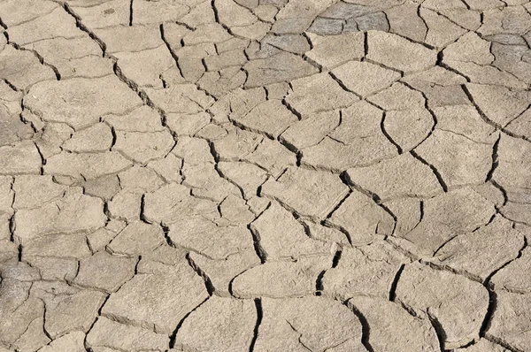 Gray cracked dehydrated land — Stock Photo, Image