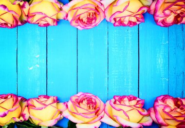  yellow roses on a blue wooden background clipart