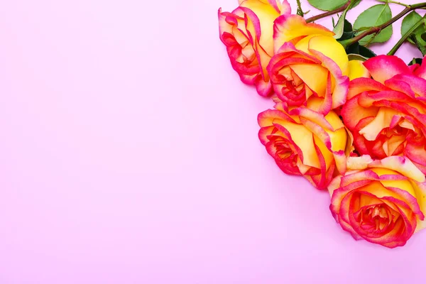 Buquê de rosas amarelo-rosa em um fundo rosa — Fotografia de Stock