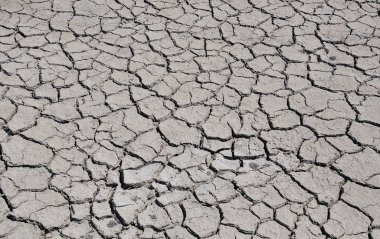 kuraklık tarafından yere kırık