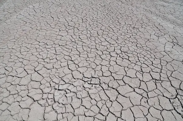 Cracked earth from drought — Stock Photo, Image