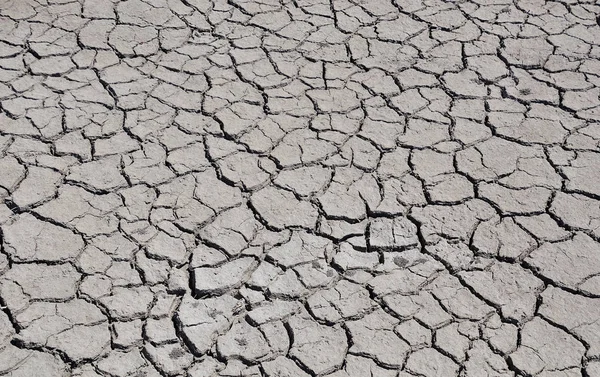 Cracked by drought the ground — Stock Photo, Image