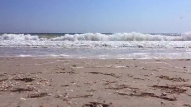 Kumlu kıyıdan Karadeniz'e görüntülemek