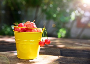 Güneşte olgunlaşmış pembe kiraz 