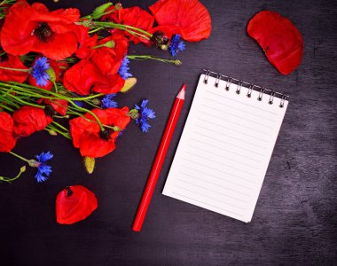 Boş kağıt defter ile kırmızı kalem 
