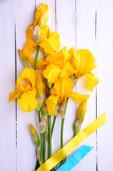 花束盛开的黄色鸢尾花 — 图库照片