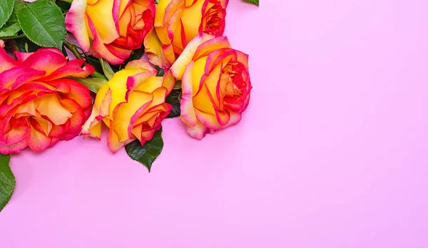 Buquê de rosas amarelas florescentes — Fotografia de Stock