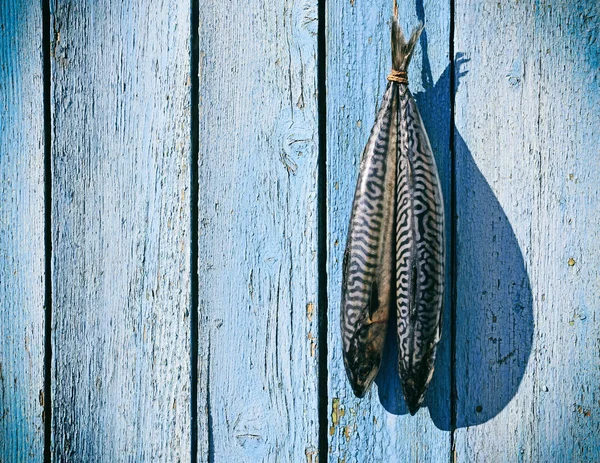 Two fresh mackerel hanging on a rope — Stock Photo, Image