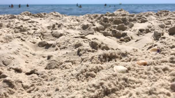 Vista da praia arenosa para o mar onde as pessoas tomam banho — Vídeo de Stock