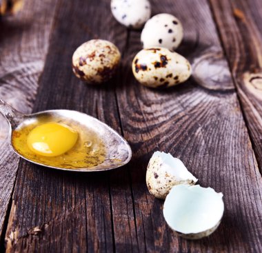 Bir demir kaşık çiğ Bıldırcın yumurta