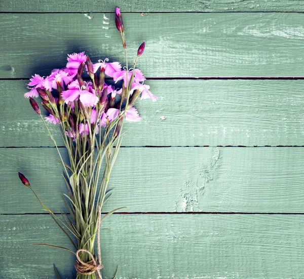 紫色のフィールドのカーネーションの花束 — ストック写真