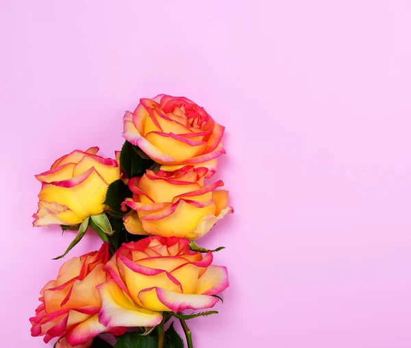 Buquê de rosas amarelas — Fotografia de Stock