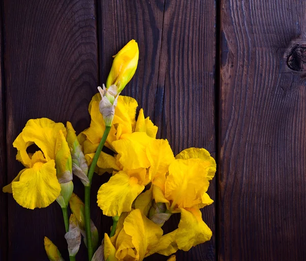 Boeket van gele iris op een bruin houten achtergrond — Stockfoto