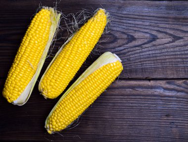 Üç sarı mısır koçanı 