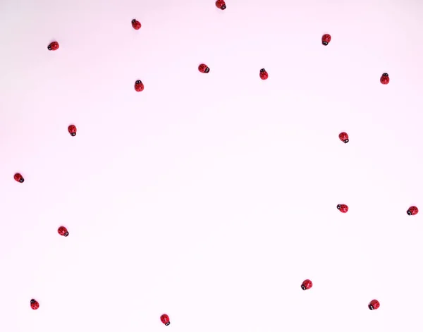 Joaninhas vermelhas em um fundo rosa — Fotografia de Stock