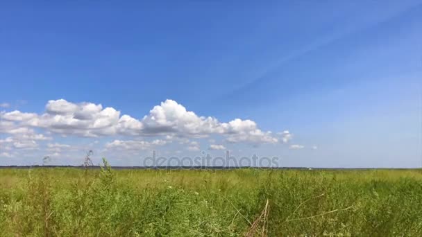 Vedere asupra naturii cu nori albi — Videoclip de stoc