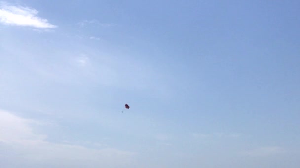 Skydiver gökyüzüne karşı uçar — Stok video