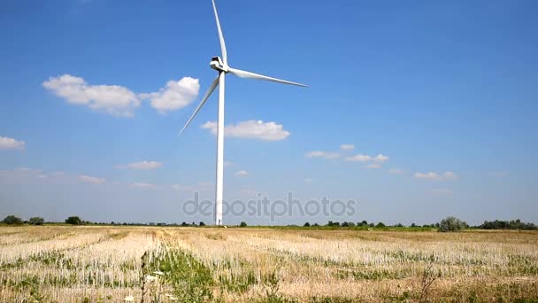 Ветряная мельница в поле — стоковое видео