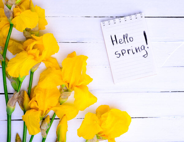 bouquet of yellow irises
