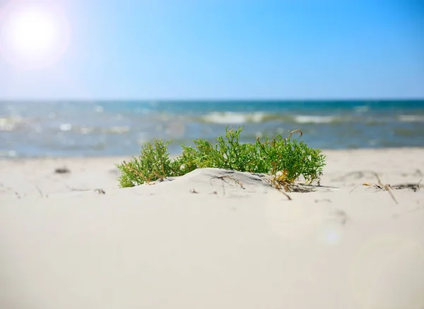 Вид на море с песчаного берега — стоковое фото