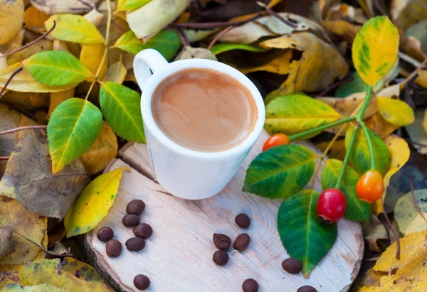 Taza blanca con espresso sobre cáñamo entre hojas caídas de otoño — Foto de Stock