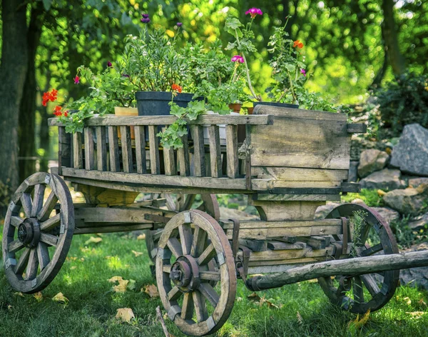 Velho carrinho de madeira com rodas redondas — Fotografia de Stock