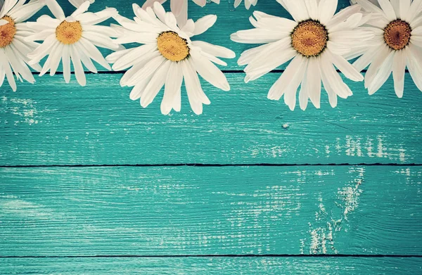 büyük beyaz papatyalar bir ahşap yüzeye