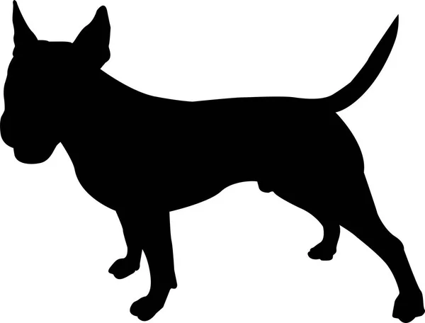 Bull-Terrier américain se tient dans un rack — Image vectorielle